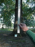 Clipboard Leaning on Tree